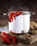 Meyer Accolade Stainless Steel 9L Stock Pot with cover, Made in Canada