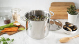 Meyer Accolade Stainless Steel 9L Stock Pot with cover, Made in Canada