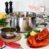 Professional Clad Stainless Steel Stockpot, 8-Quart