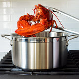 Professional Clad Stainless Steel Stockpot, 8-Quart
