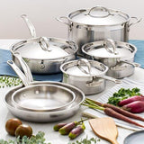 Professional Clad Stainless Steel Ultimate Set, 10-piece